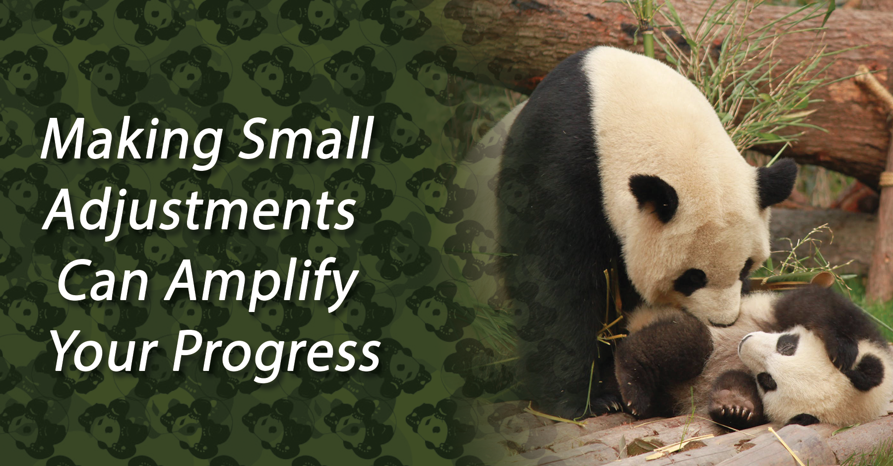 Making Small Adjustments Can Amplify Your Progress