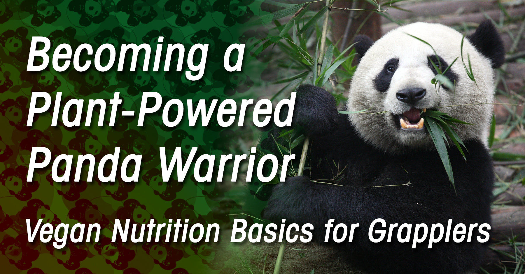 Plant-Based Diet Basics for Vegan Grapplers