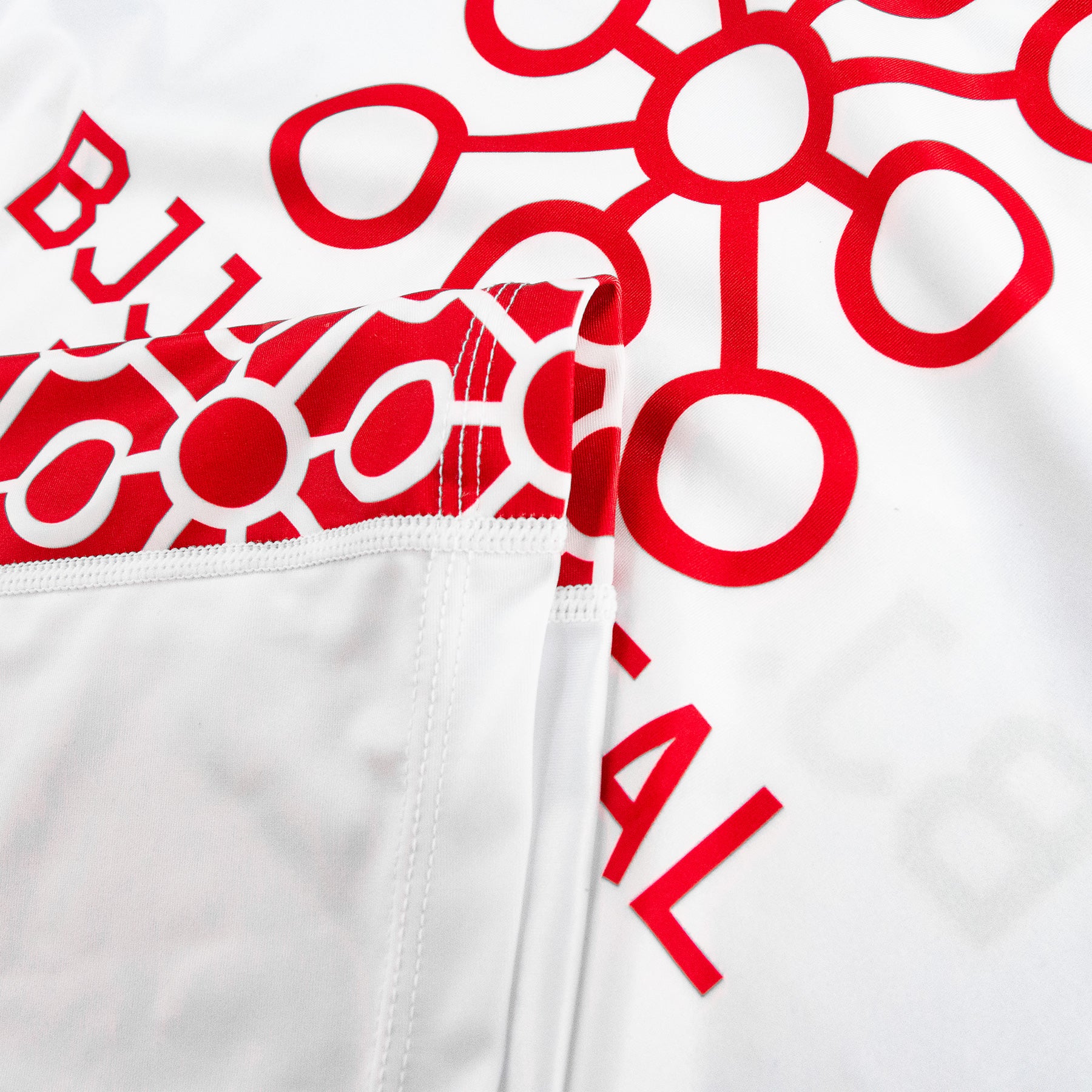 BJJ Mental Models Rashguard