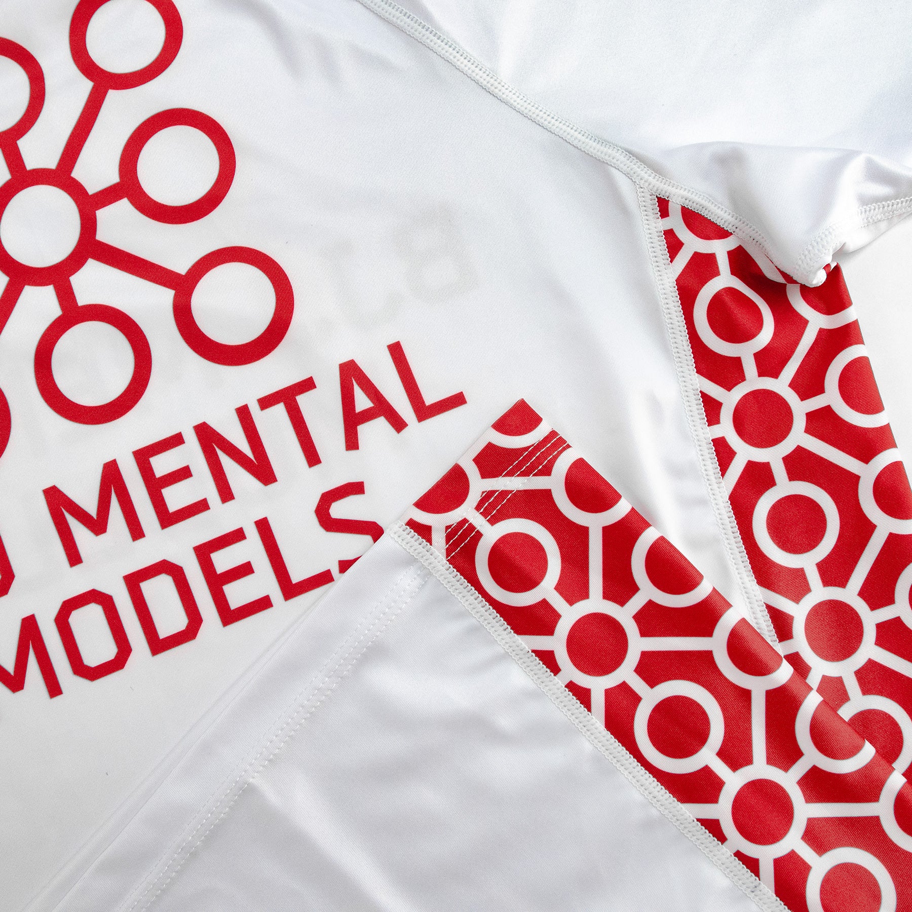 BJJ Mental Models Rashguard