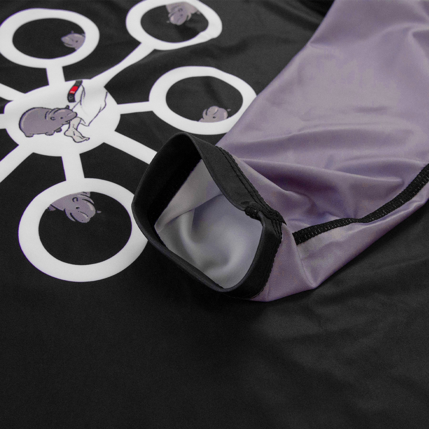 BJJ Mental Models Collab Champion's Mindset Rashguard