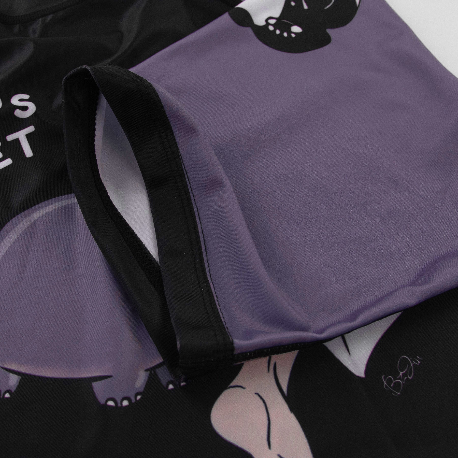 BJJ Mental Models Collab Champion's Mindset Rashguard