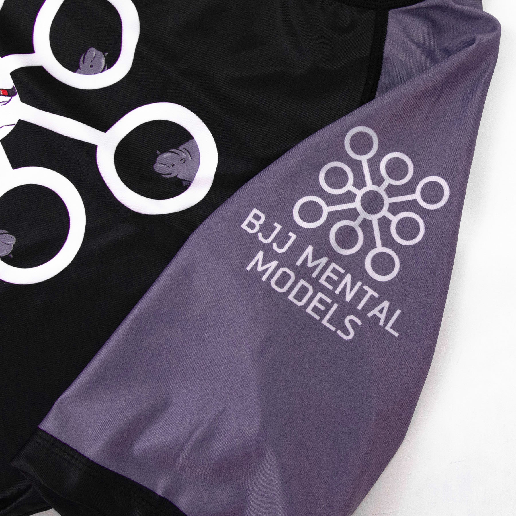 BJJ Mental Models Collab Champion's Mindset Rashguard