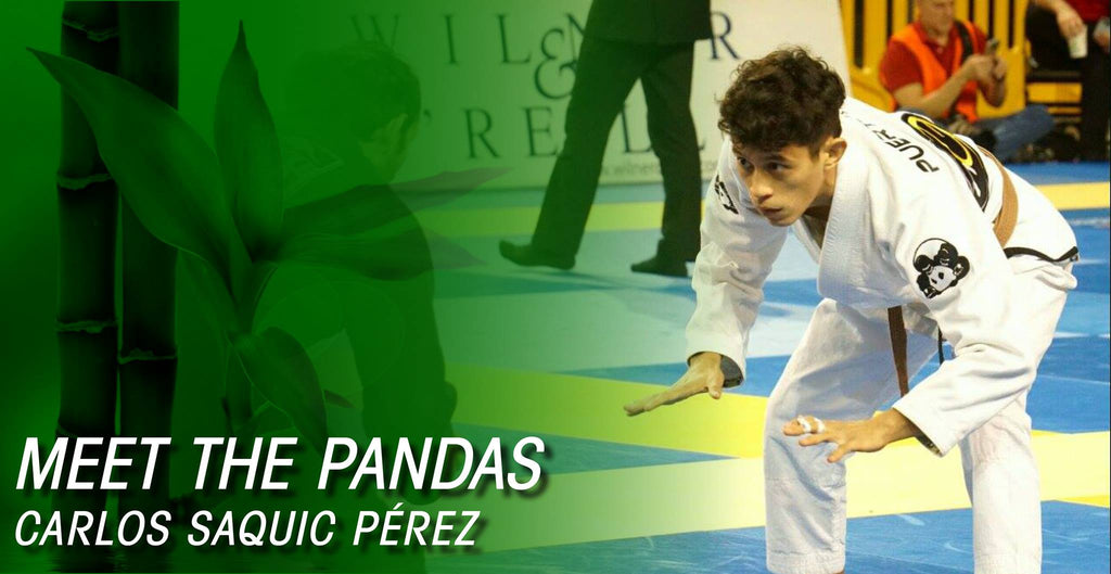 Meet the Pandas: From the Pool to the Mat - Carlos Saquic Pérez
