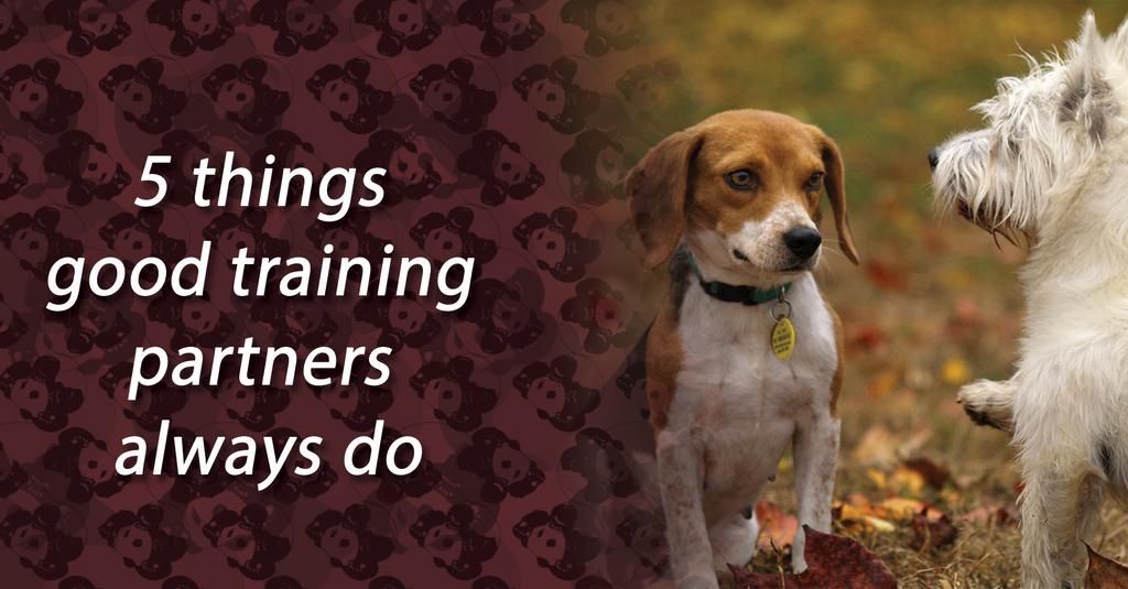 5 things good training partners always do