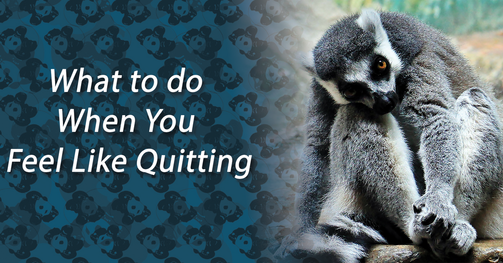 What to do When You Feel Like Quitting