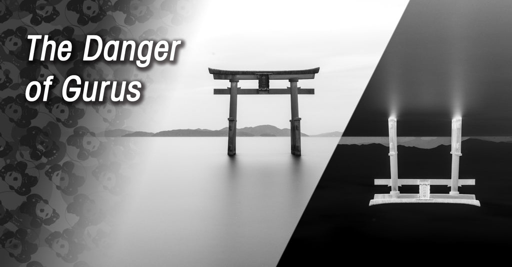 The Danger of Gurus