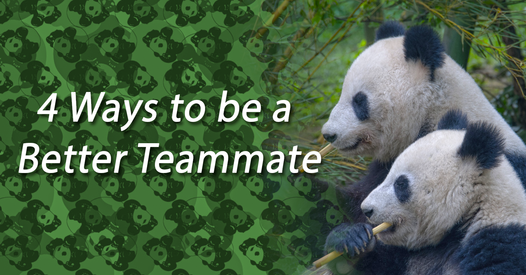 4 Ways to be a Better Teammate