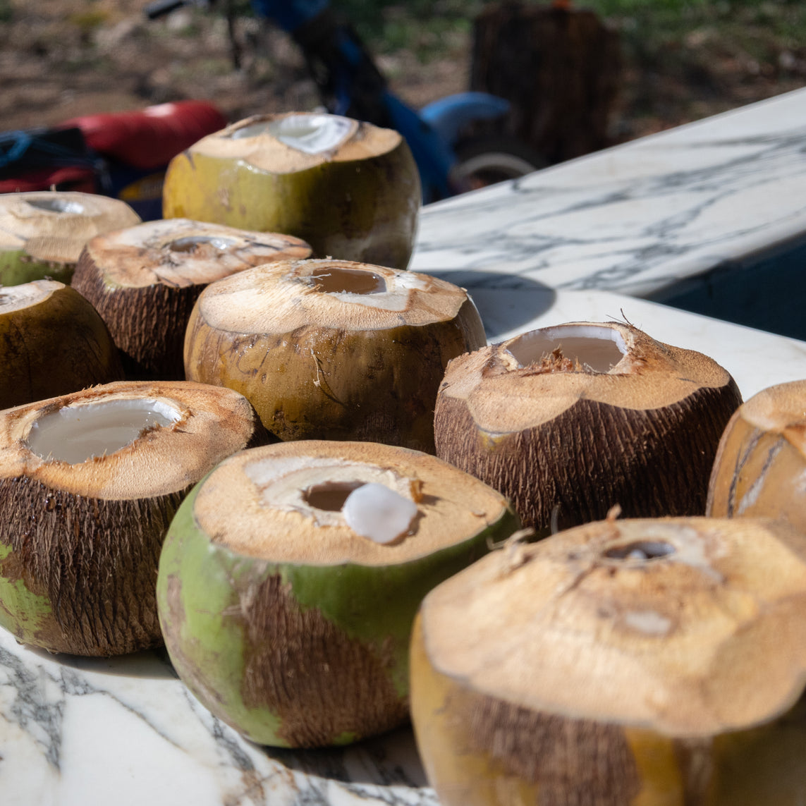 BJJ Retreat in Puerto Escondido Mexico — 2026 Edition